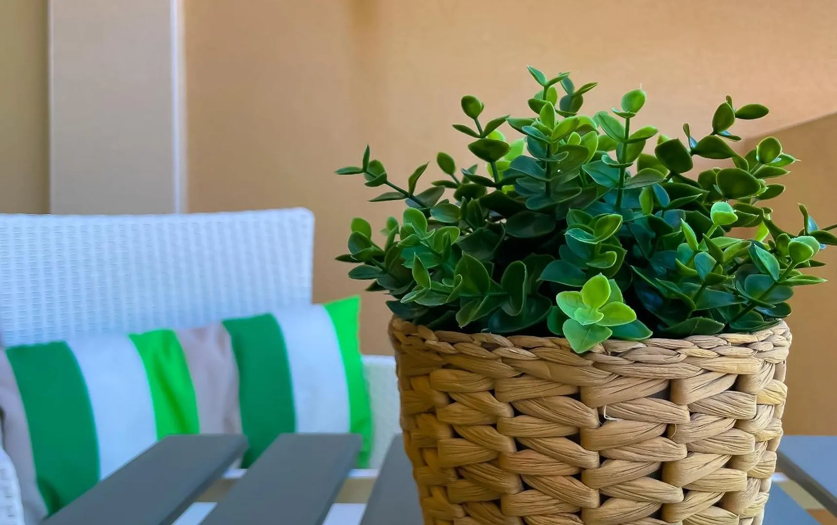 Apartment Paradise Home By Best Holidays Fuerteventura Corralejo Spain